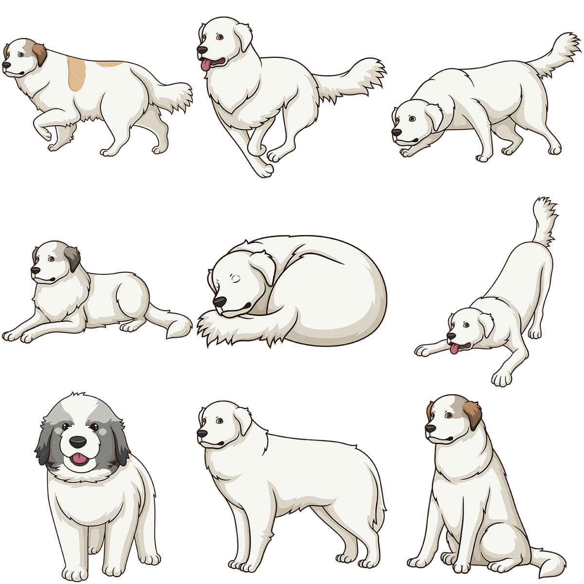 A bundle of 9 royalty-free stock vector illustrations of great pyrenees dogs.