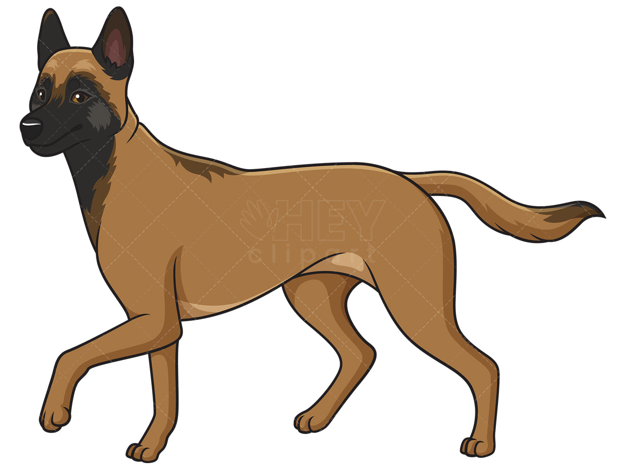 Royalty-free stock vector illustration of a belgian shepherd walking.