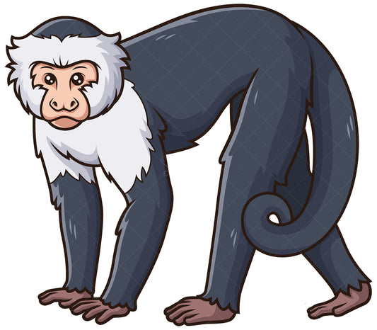 Royalty-free stock vector illustration of a cute capuchin monkey.
