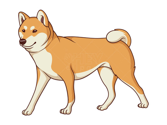 Royalty-free stock vector illustration of a shiba inu walking.