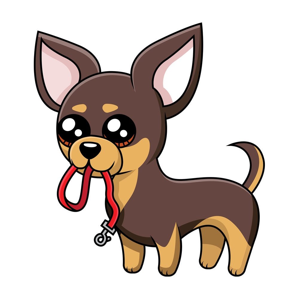 Chihuahua holding leash in its mouth. PNG - JPG and vector EPS (infinitely scalable).