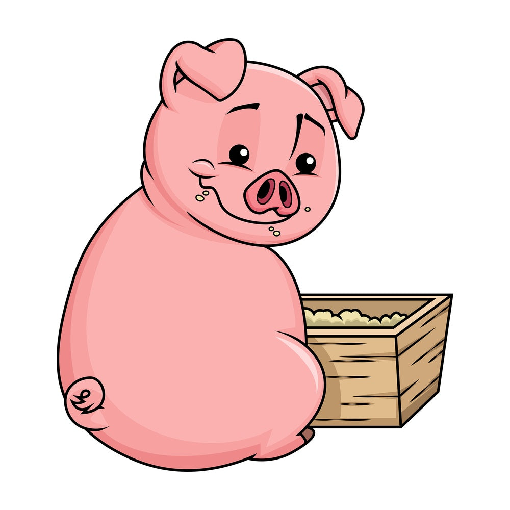 Cute pig eating corn in the farm - Image isolated on transparent background. PNG