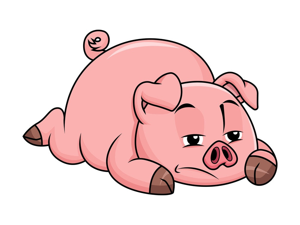 Sad pig lying on the ground bored - Image isolated on transparent background. PNG