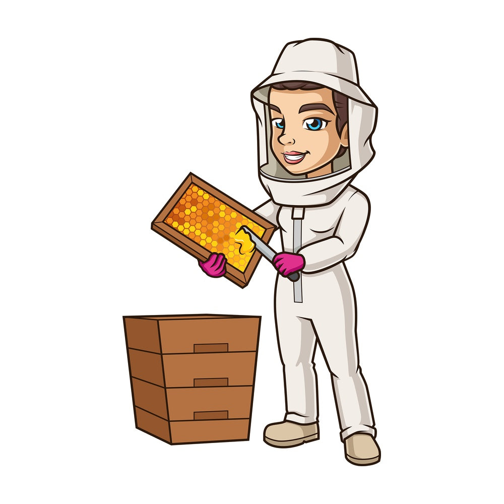 Female beekeeper scraping honeycomb. PNG - JPG and vector EPS (infinitely scalable).