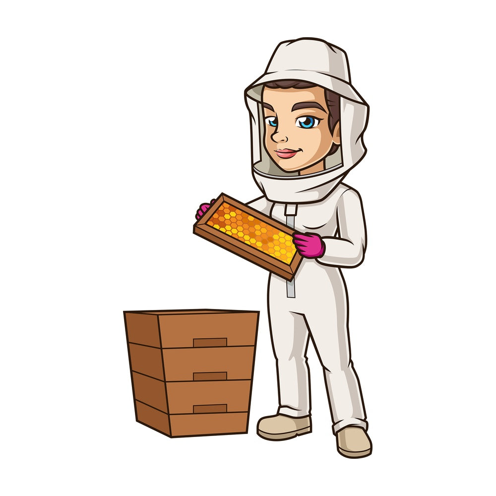 Female beekeeper checking honeycomb. PNG - JPG and vector EPS (infinitely scalable).