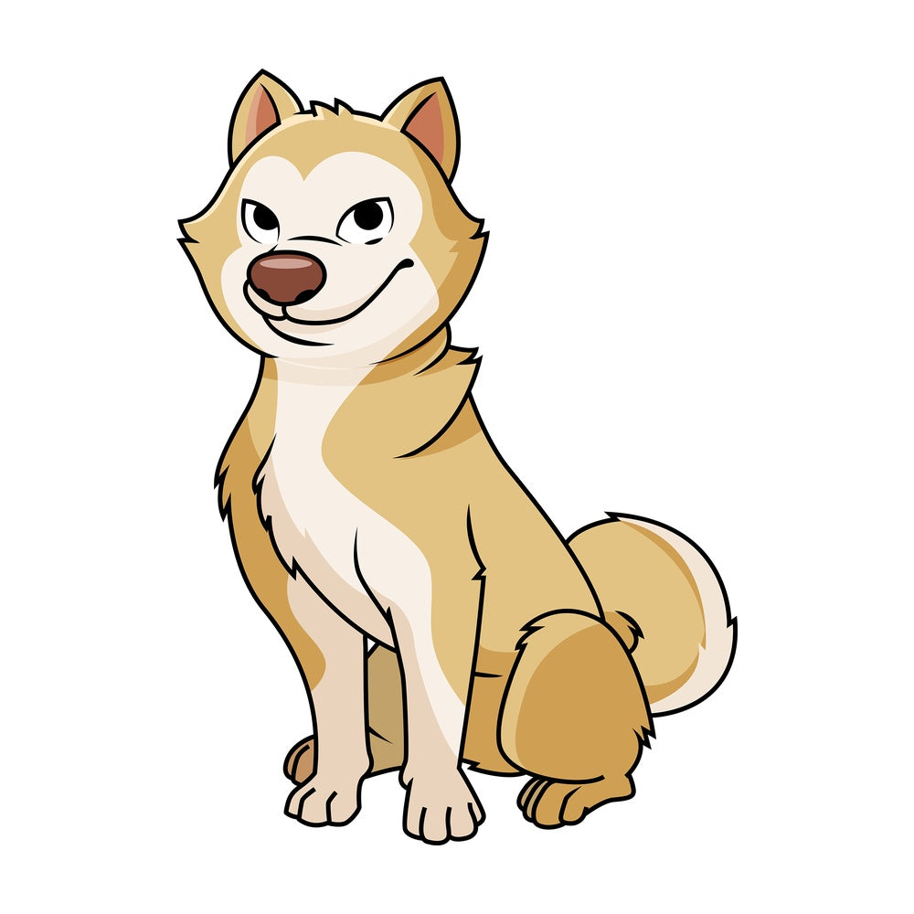 Cute akita dog. PNG - JPG and vector EPS file formats (infinitely scalable). Image isolated on transparent background.