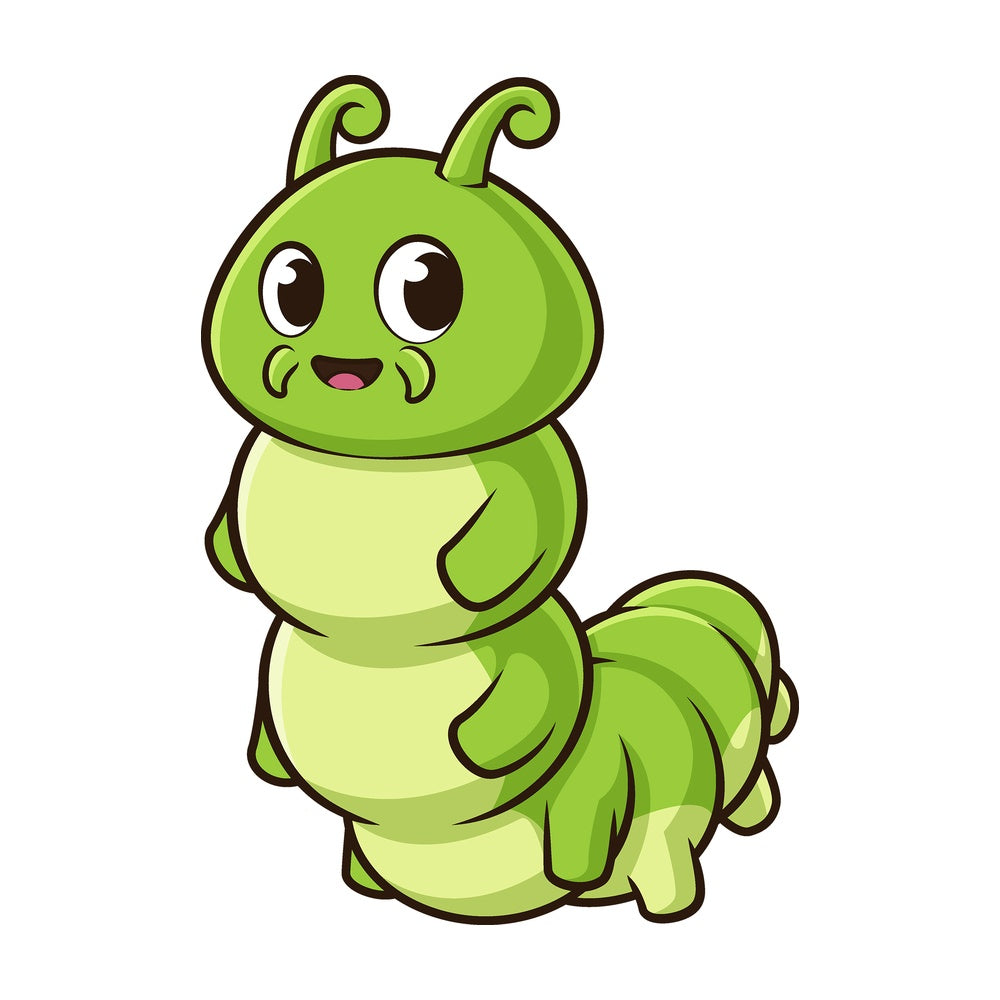 Cartoon caterpillar larva stage. PNG - JPG and vector EPS (infinitely scalable).
