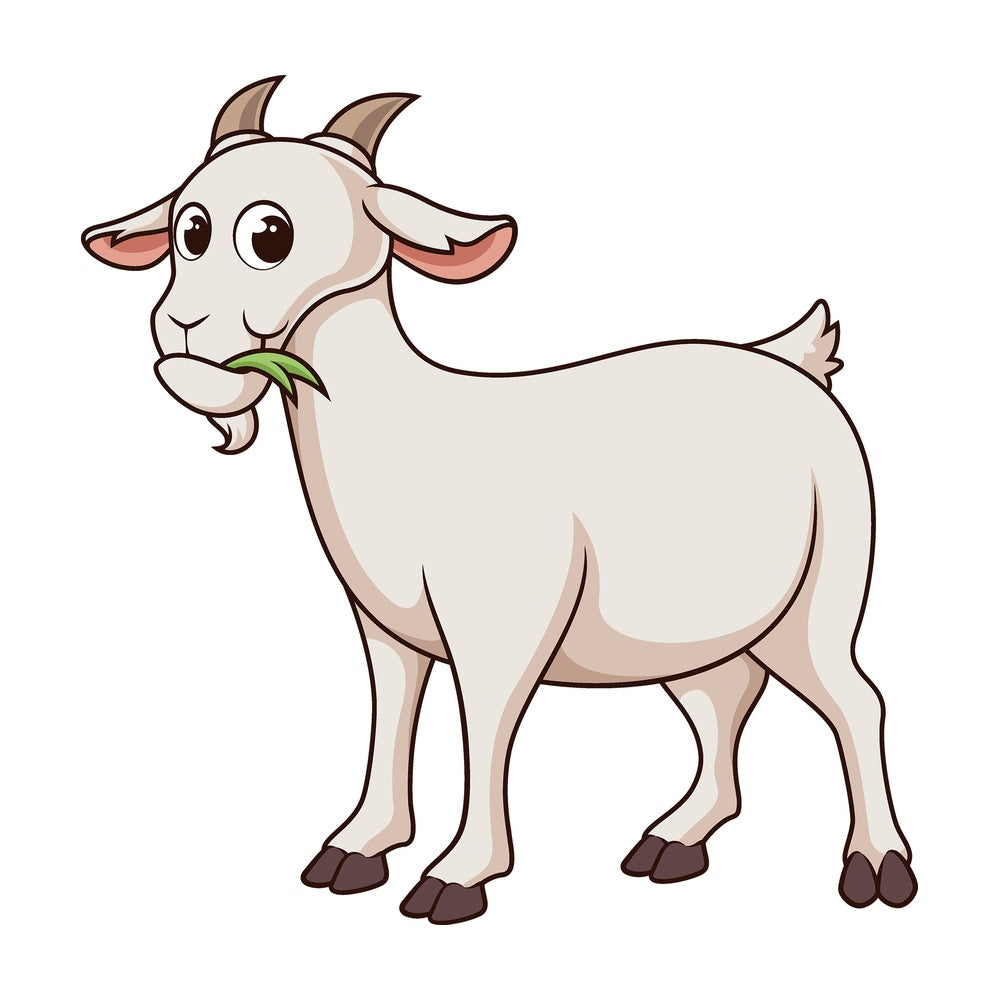 Cartoon goat chewing grass. PNG - JPG and vector EPS file formats (infinitely scalable). Image isolated on transparent background.