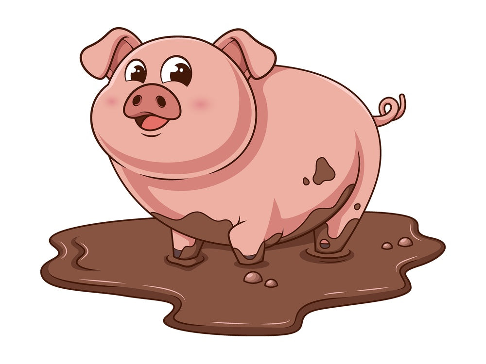 Cartoon pig in mud. PNG - JPG and vector EPS file formats (infinitely scalable). Image isolated on transparent background.