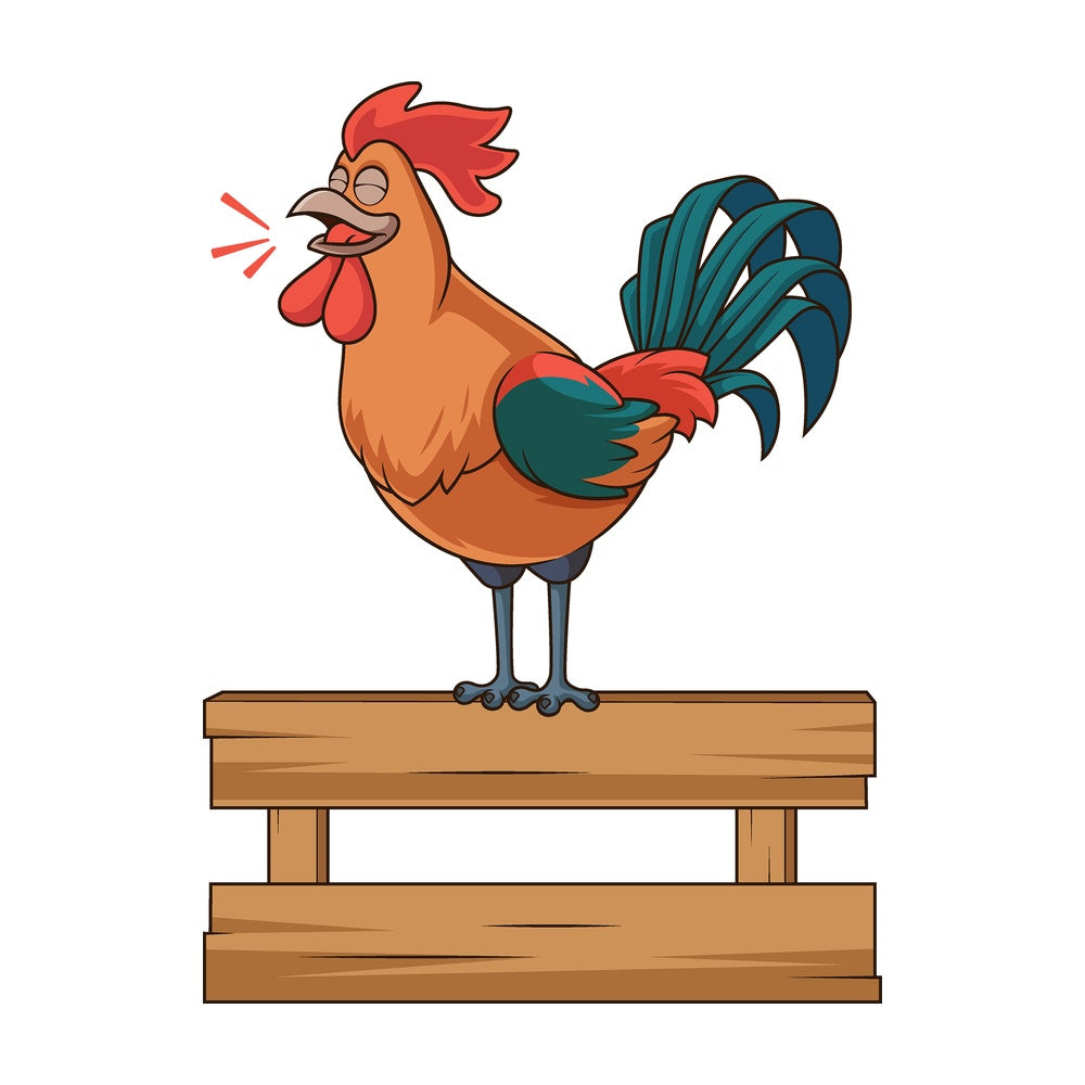 Cartoon rooster crowing. PNG - JPG and vector EPS file formats (infinitely scalable). Image isolated on transparent background.