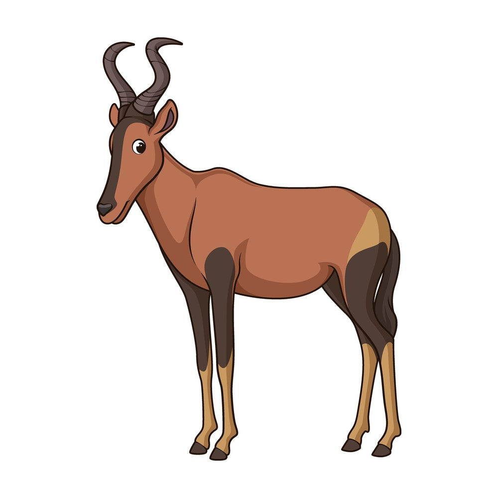 Cartoon hartebeest safari animal. PNG - JPG and vector EPS file formats (infinitely scalable). Image isolated on transparent background.