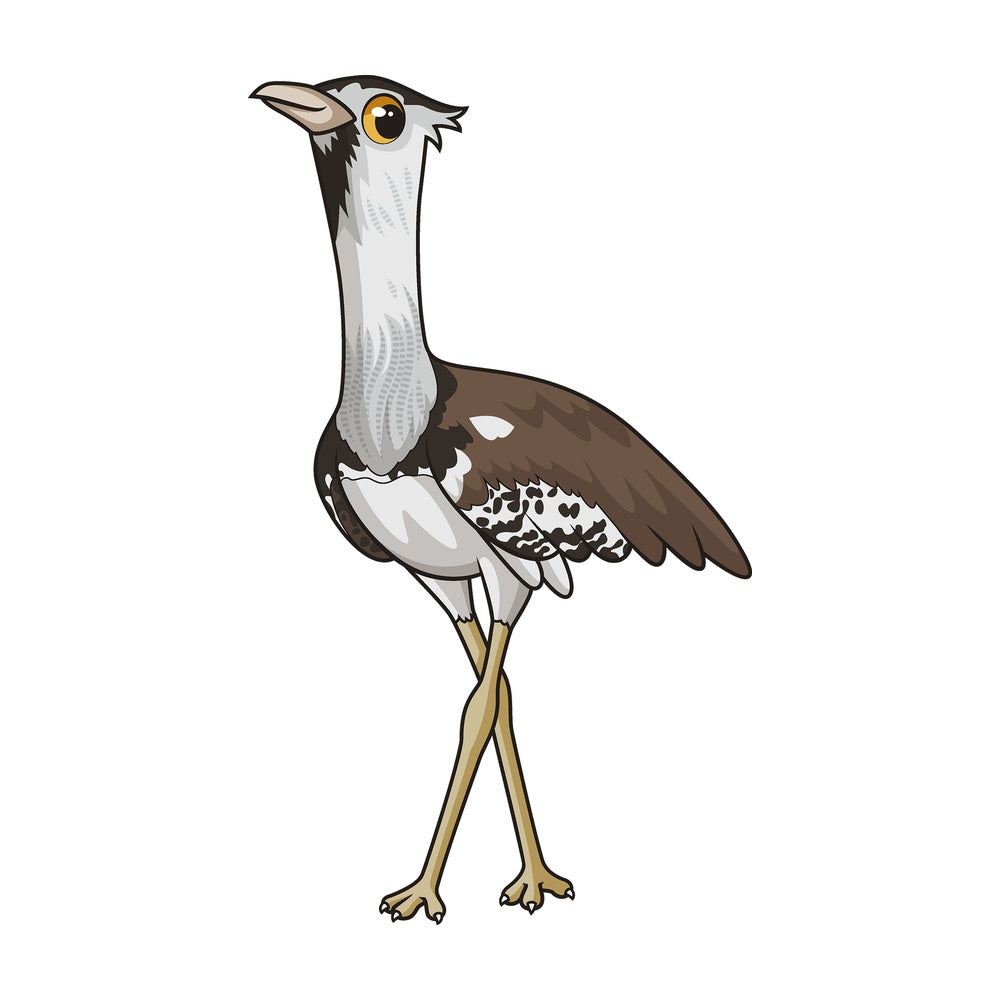 Cartoon kori bustard. PNG - JPG and vector EPS file formats (infinitely scalable). Image isolated on transparent background.