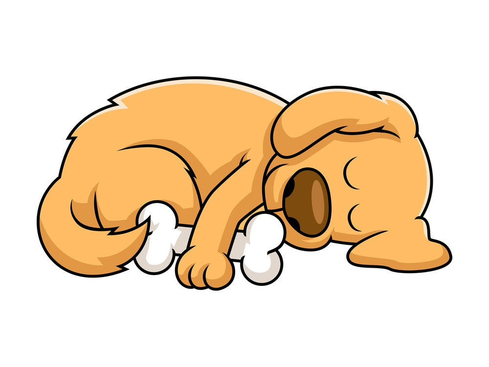 Sleeping dog. PNG - JPG and vector EPS file formats (infinitely scalable). Image isolated on transparent background.
