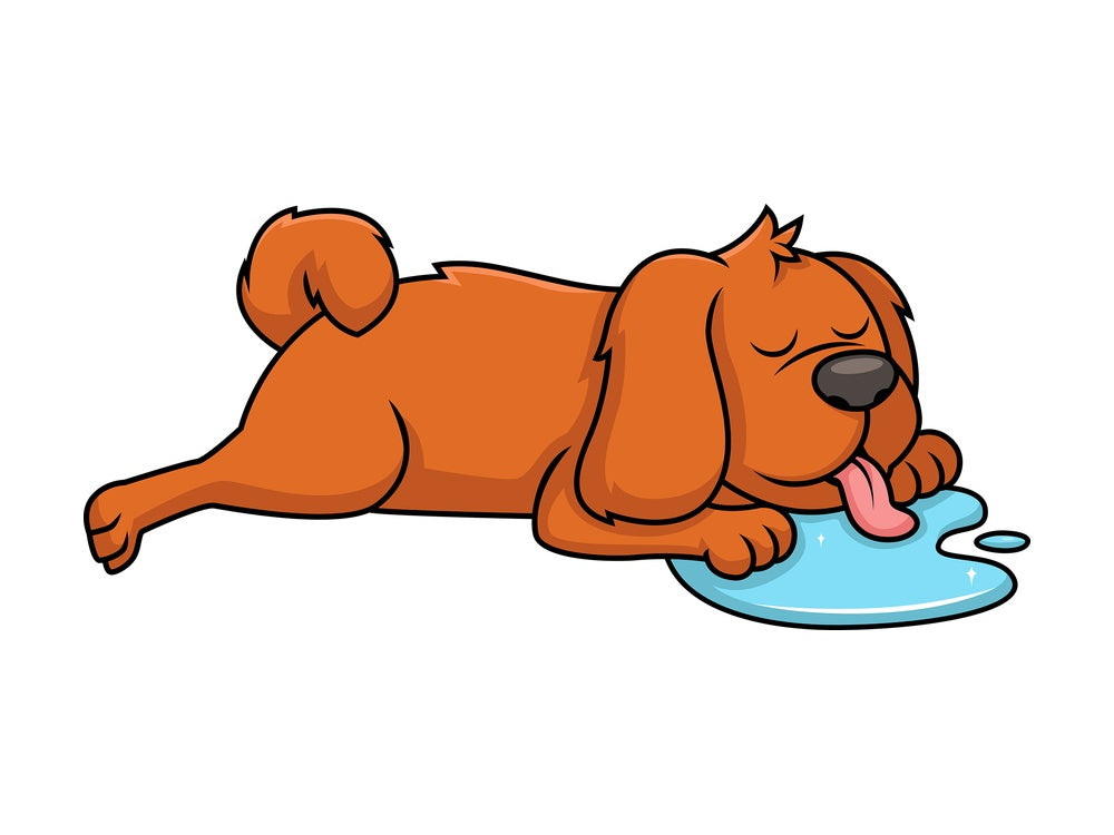 Dog sleeping and drooling. PNG - JPG and vector EPS file formats (infinitely scalable). Image isolated on transparent background.