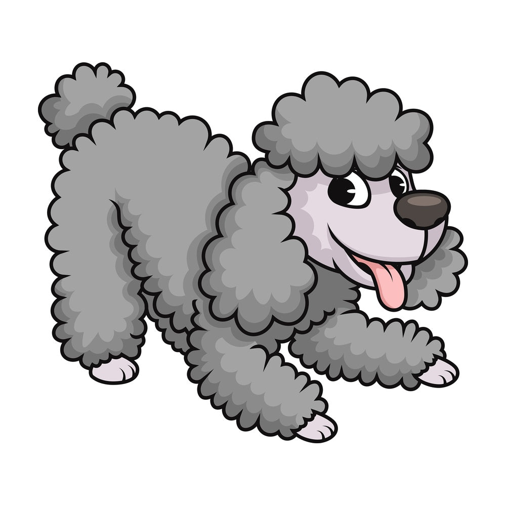 Happy miniature poodle dog. PNG - JPG and vector EPS (infinitely scalable). Image isolated on transparent background.