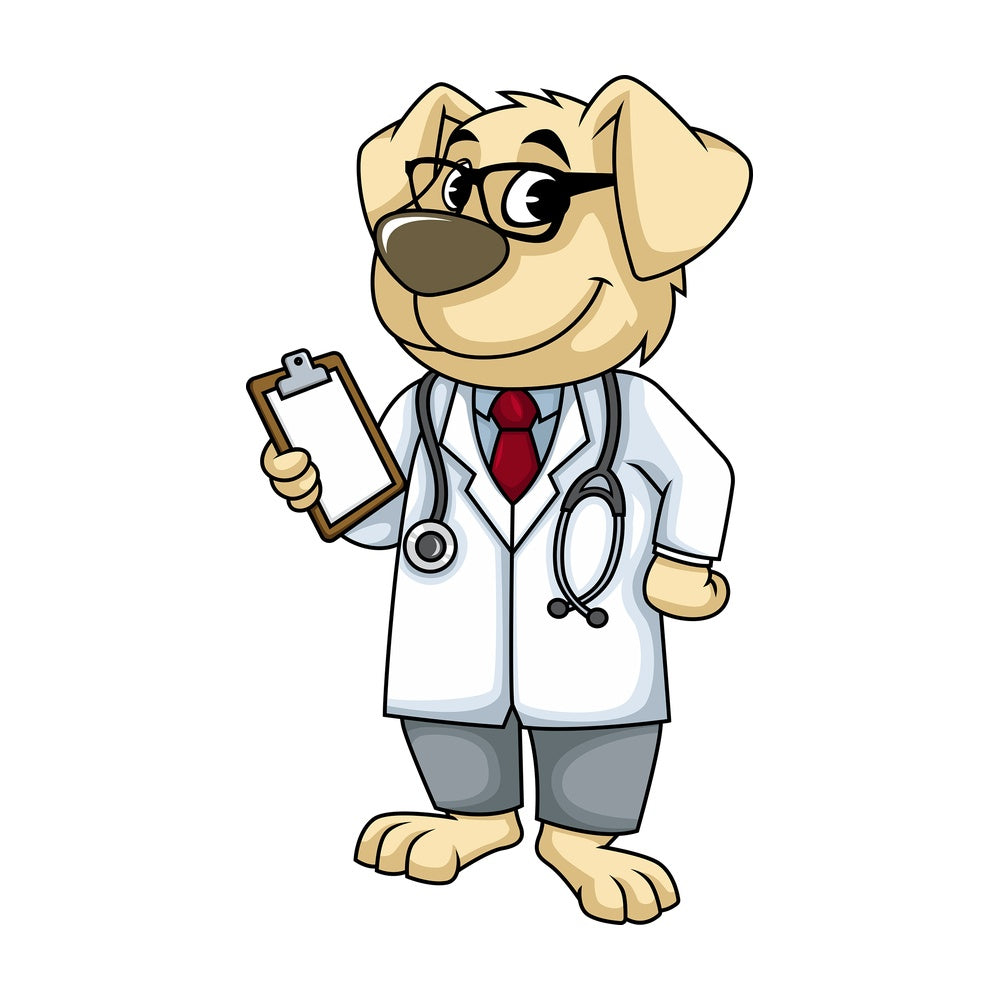 Dog doctor. PNG - JPG and vector EPS (infinitely scalable). Image isolated on transparent background.