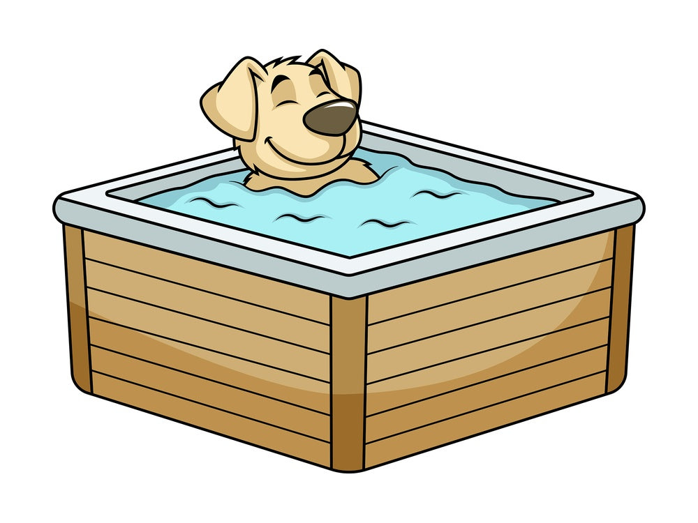 Dog character in hot tub. PNG - JPG and vector EPS (infinitely scalable). Image isolated on transparent background.
