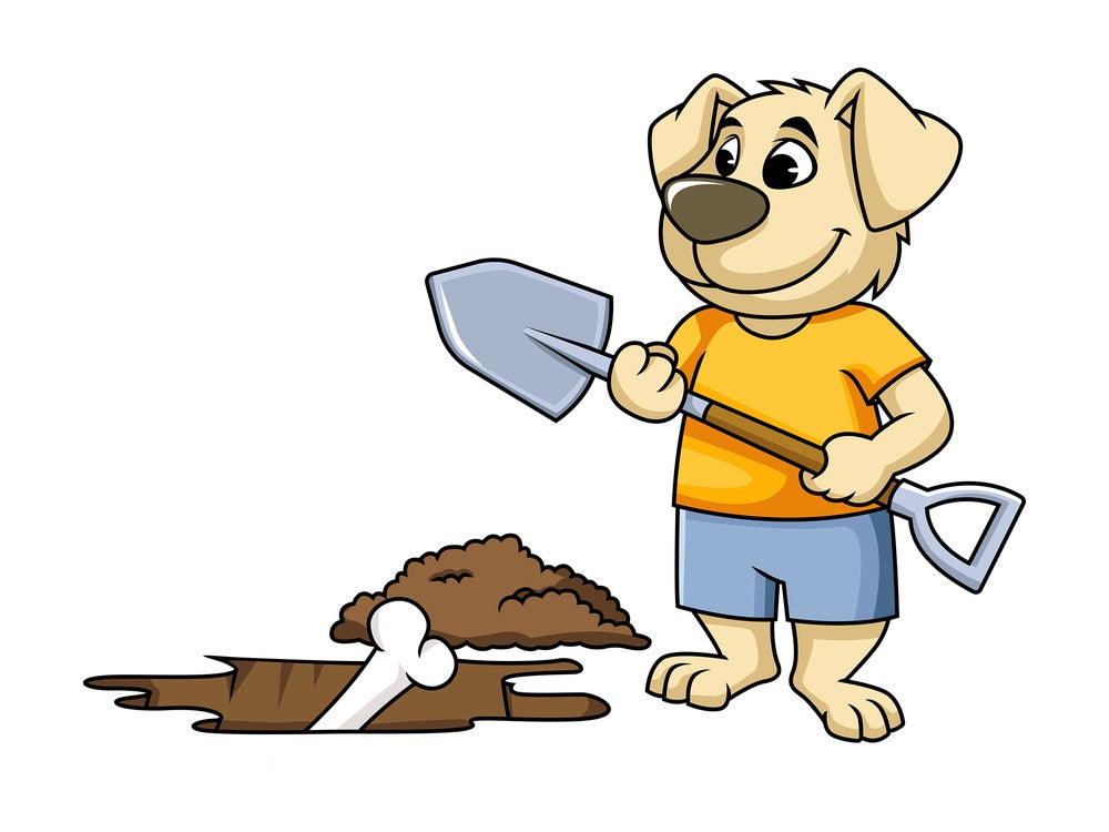 Dog character digging up bone. PNG - JPG and vector EPS (infinitely scalable). Image isolated on transparent background.