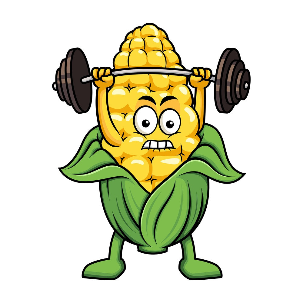 Maize cartoon character lifting weights. PNG - JPG and vector EPS (infinitely scalable). Image isolated on transparent background.