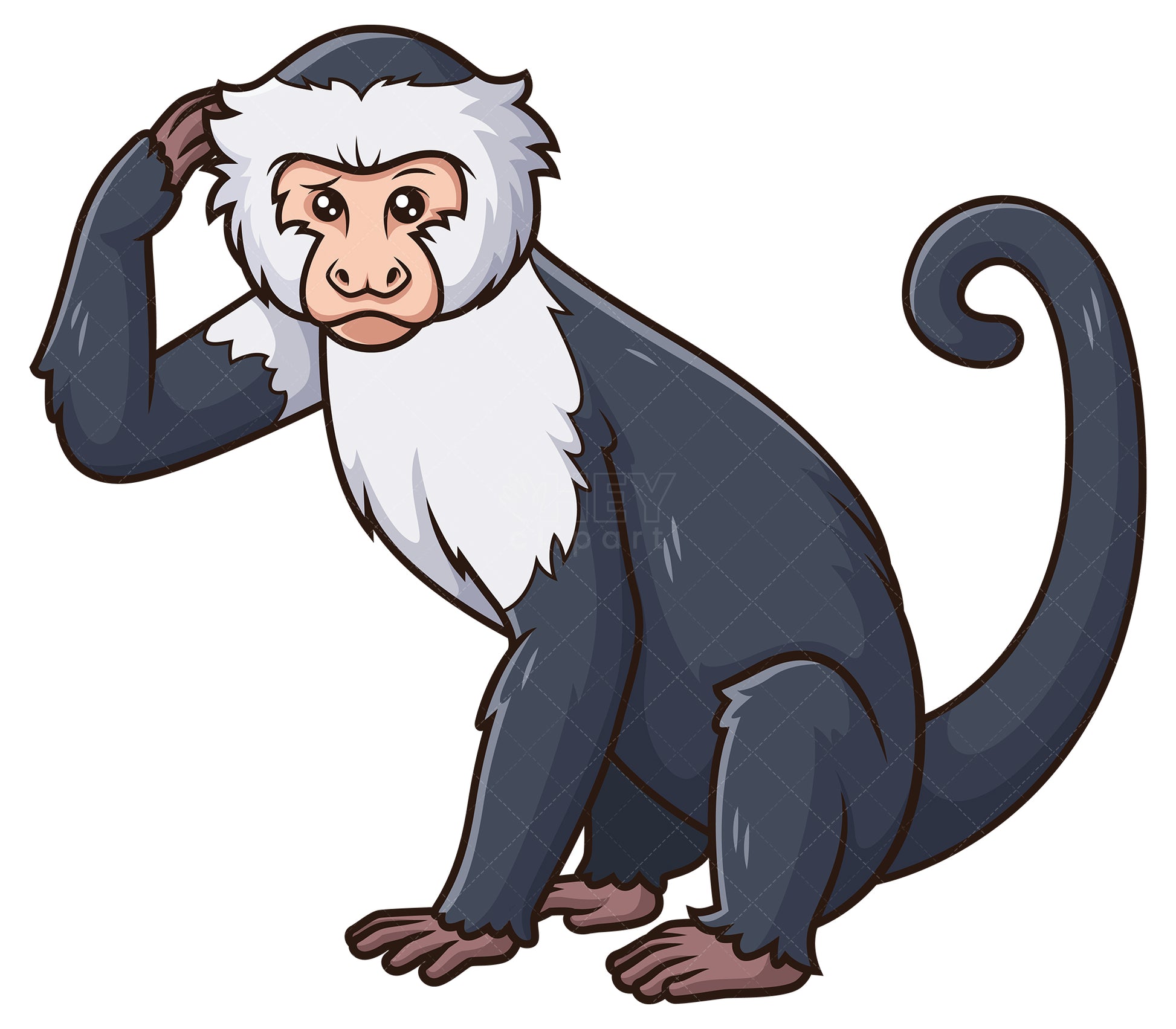 Royalty-free stock vector illustration of a confused capuchin monkey.