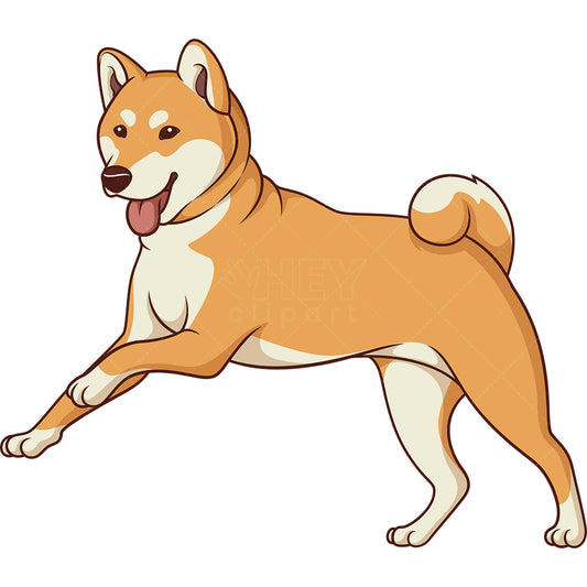 Royalty-free stock vector illustration of a shiba inu running.