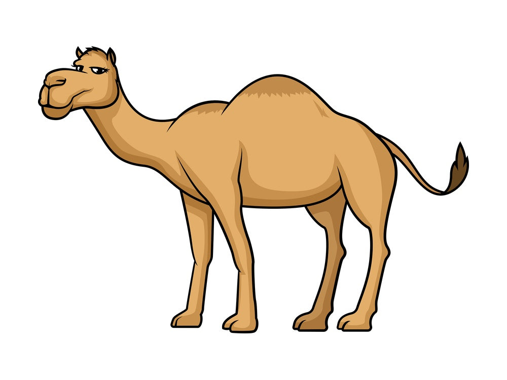 Cute camel. PNG - JPG and vector EPS (infinitely scalable).