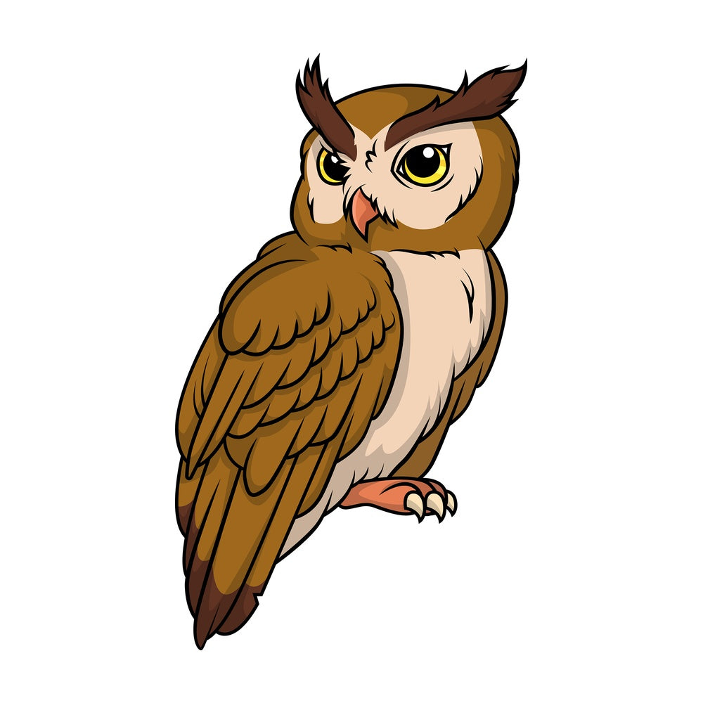 Wild owl. PNG - JPG and vector EPS (infinitely scalable).