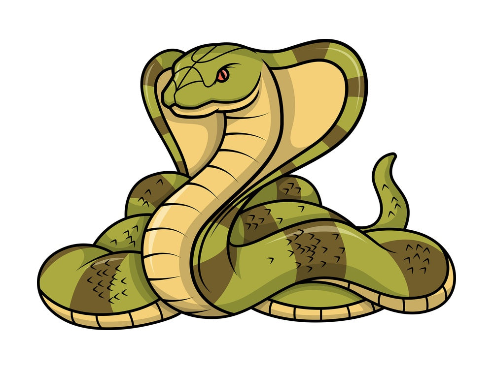 Cobra snake. PNG - JPG and vector EPS (infinitely scalable).