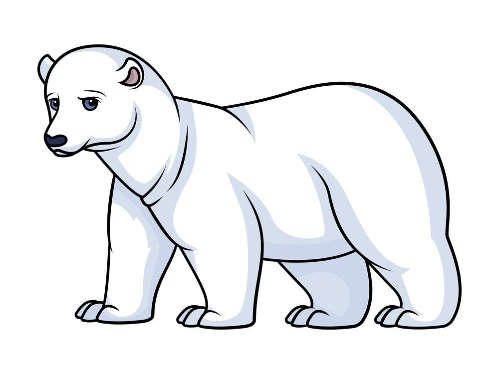 Wild polar bear. PNG - JPG and vector EPS (infinitely scalable).