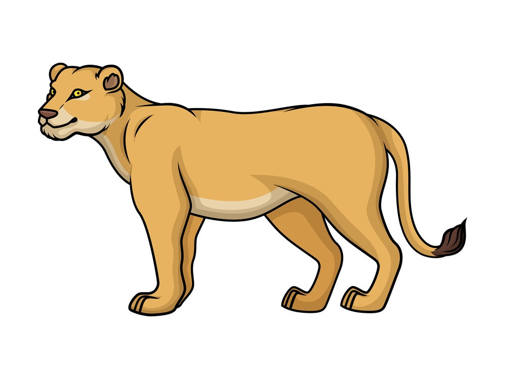 Female lion. PNG - JPG and vector EPS (infinitely scalable).