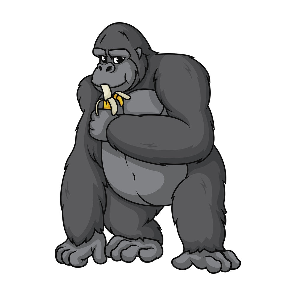 Gorilla eating banana. PNG - JPG and vector EPS (infinitely scalable).