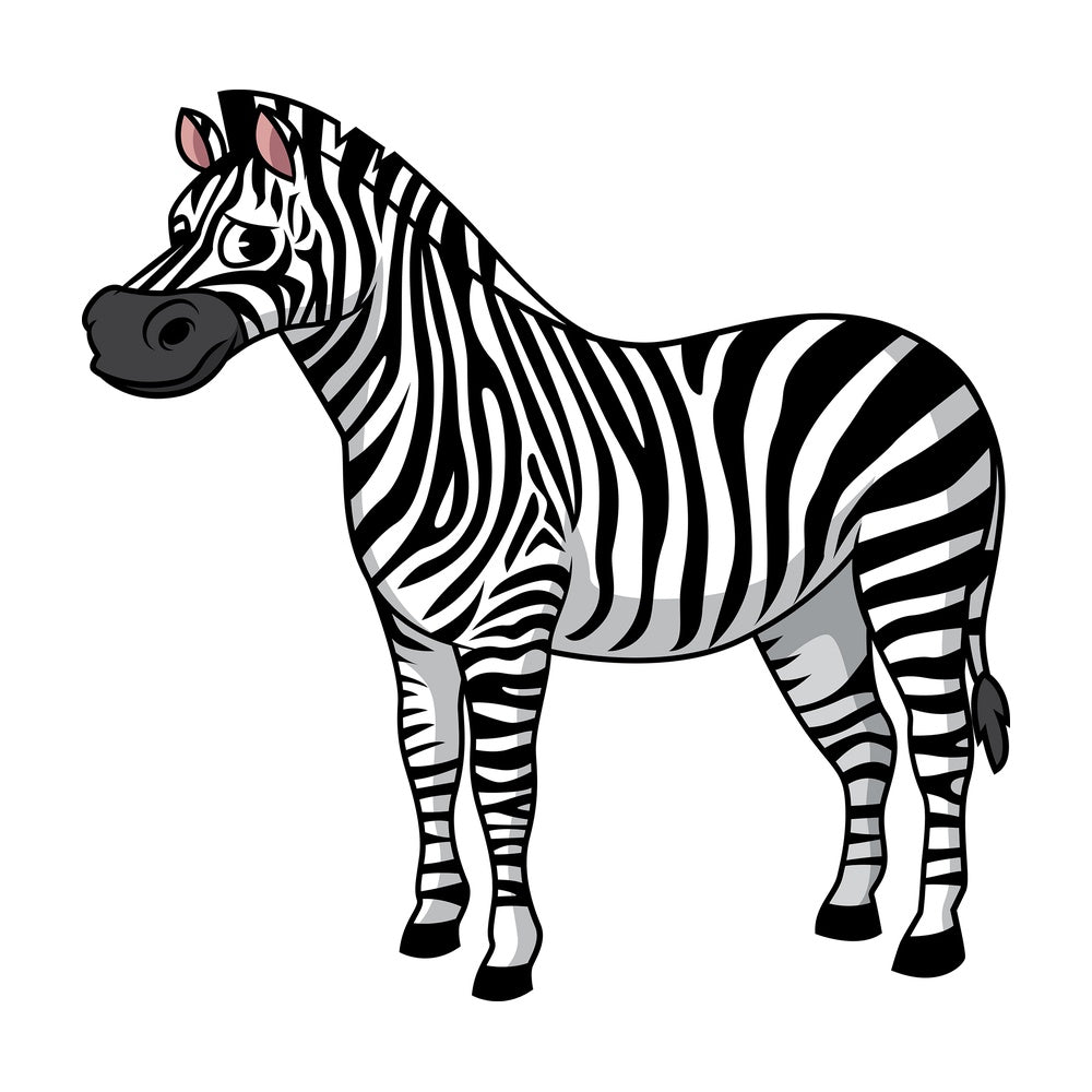 Sad zebra. PNG - JPG and vector EPS (infinitely scalable).