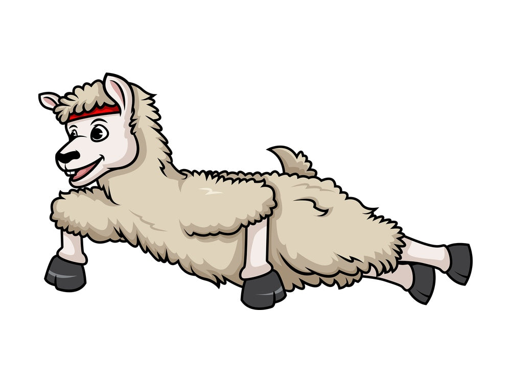 Llama doing push ups. PNG - JPG and vector EPS (infinitely scalable).