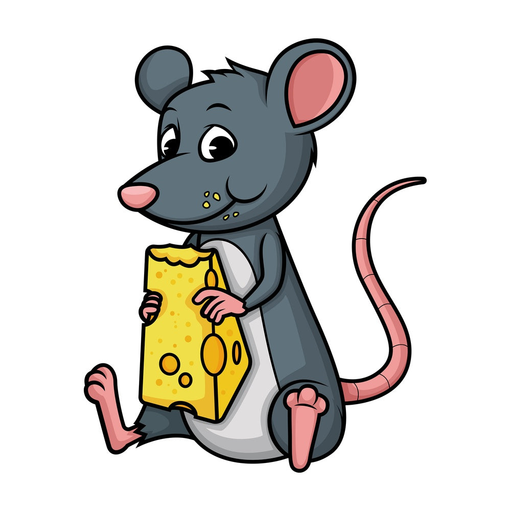 Mouse eating cheese. PNG - JPG and vector EPS (infinitely scalable).