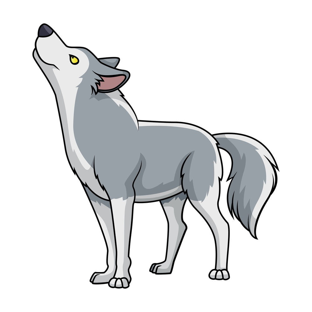 Wolf looking up. PNG - JPG and vector EPS (infinitely scalable).