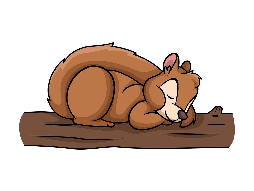 Squirrel sleeping. PNG - JPG and vector EPS (infinitely scalable).