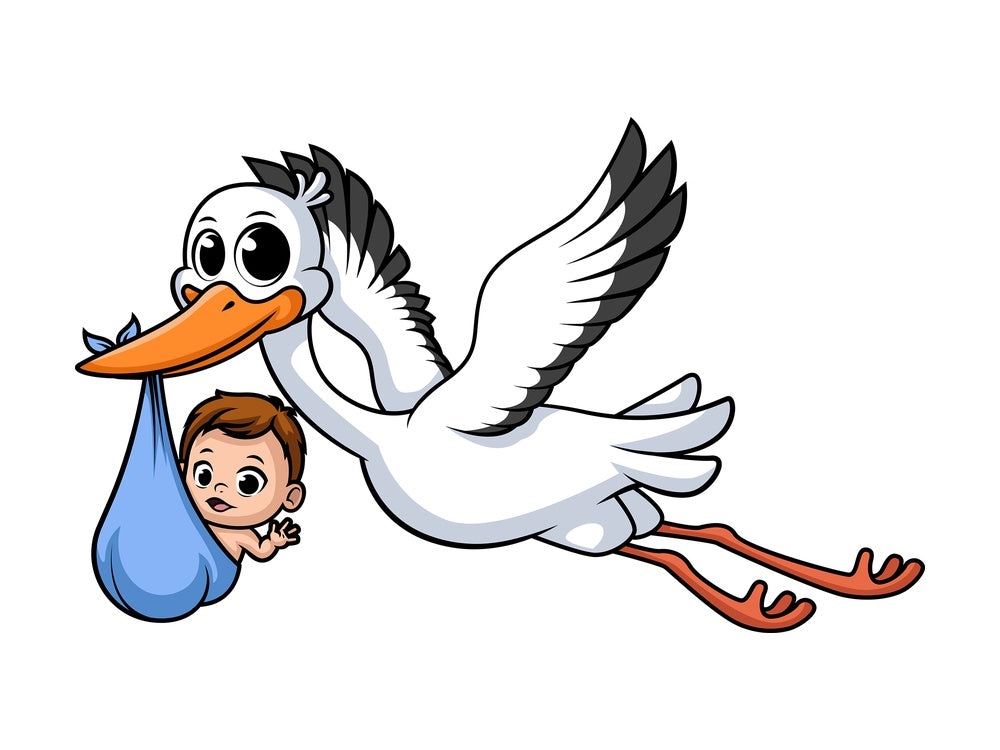 Stork carrying baby. PNG - JPG and vector EPS (infinitely scalable).