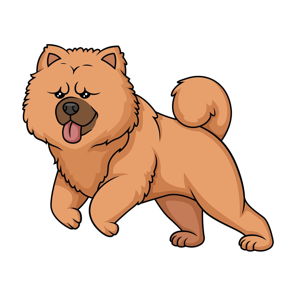 Chow Chow running. PNG - JPG and vector EPS (infinitely scalable).