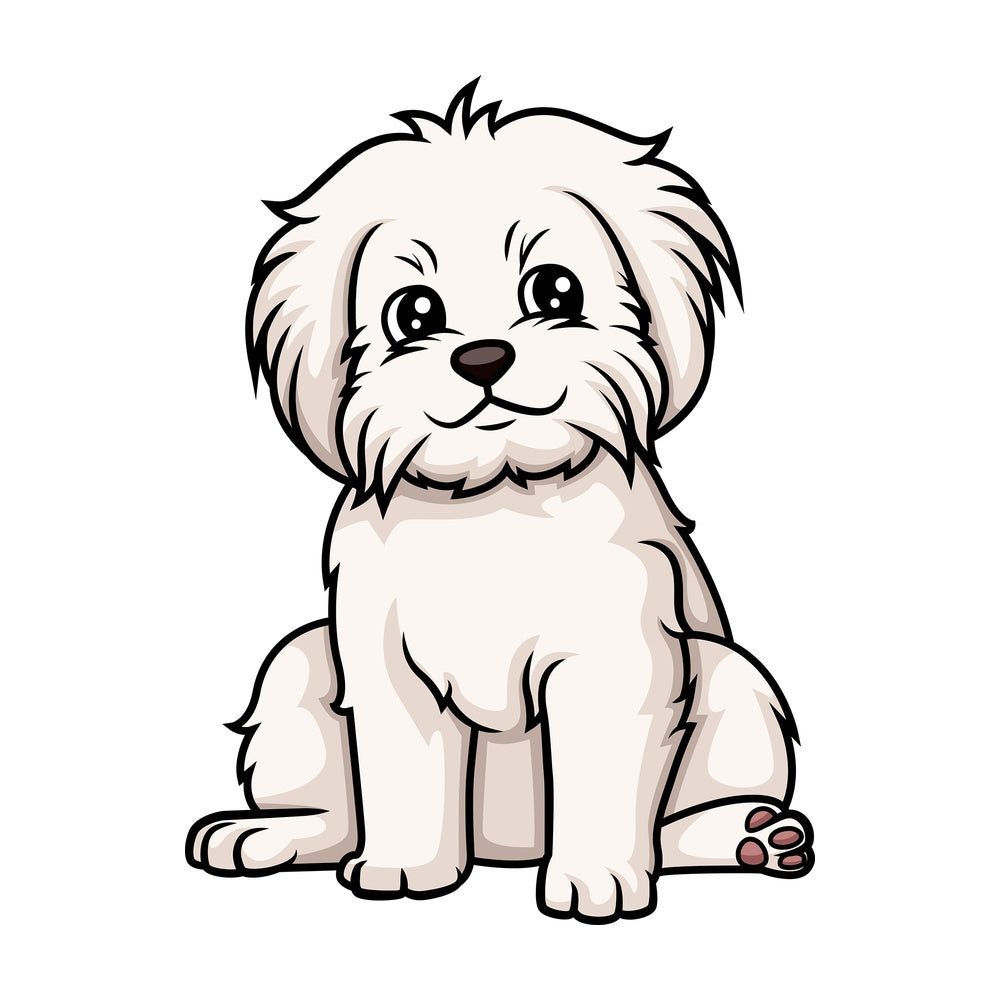 Cute maltese puppy. PNG - JPG and vector EPS (infinitely scalable).
