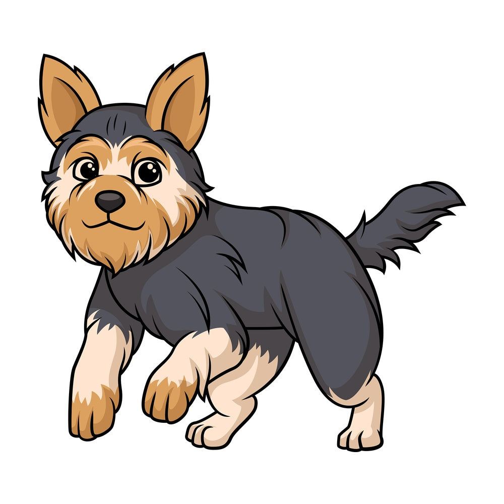 Yorkshire terrier running. PNG - JPG and vector EPS (infinitely scalable).