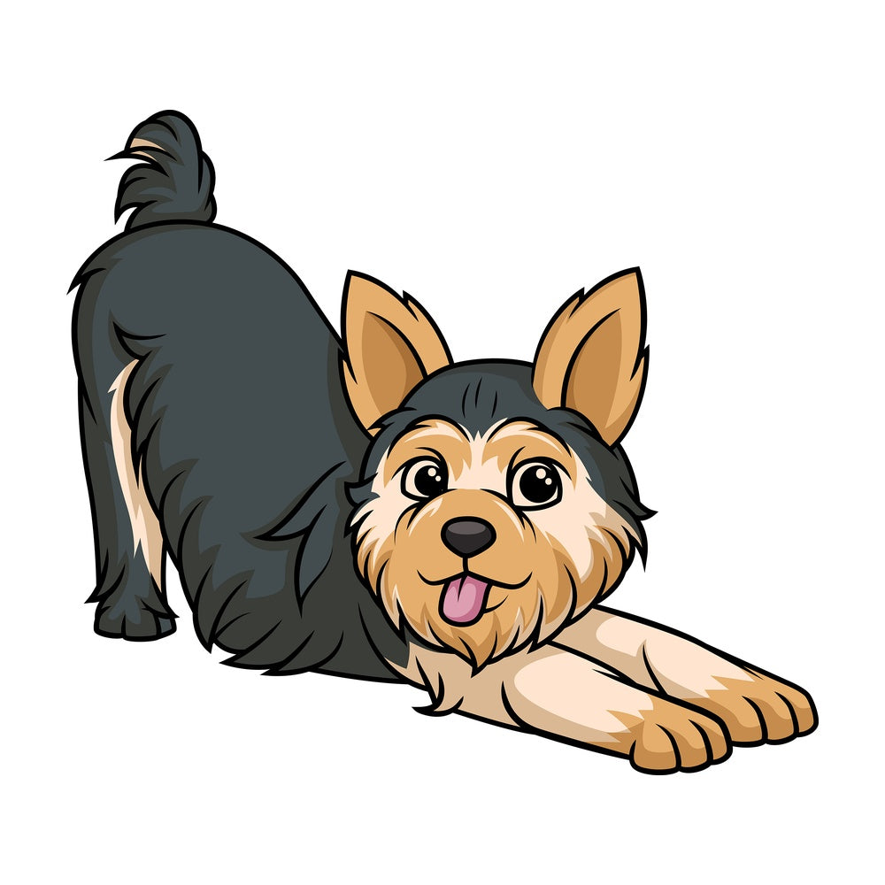 Playful yorkie. PNG - JPG and vector EPS (infinitely scalable).