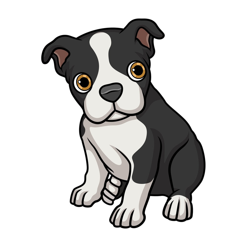 Cute boston terrier puppy. PNG - JPG and vector EPS (infinitely scalable).