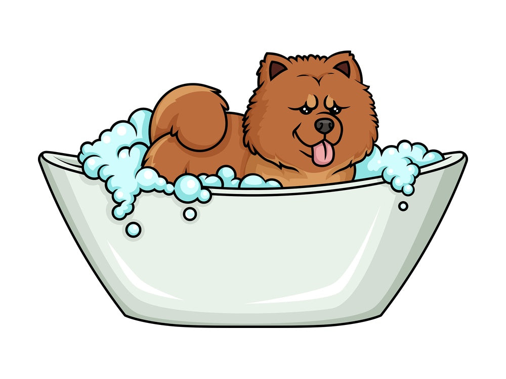 Chow Chow having a bath. PNG - JPG and vector EPS (infinitely scalable). Image isolated on transparent background.