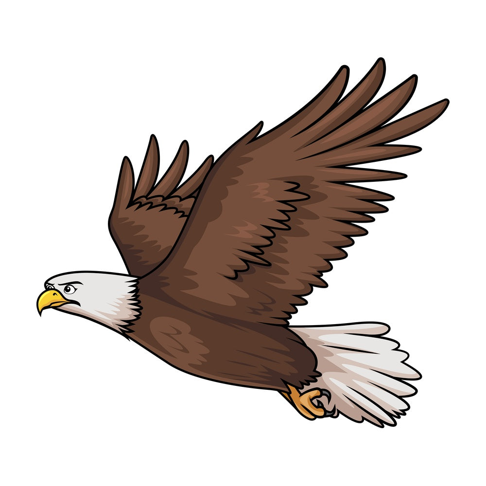 Flying bald eagle. PNG - JPG and vector EPS (infinitely scalable).