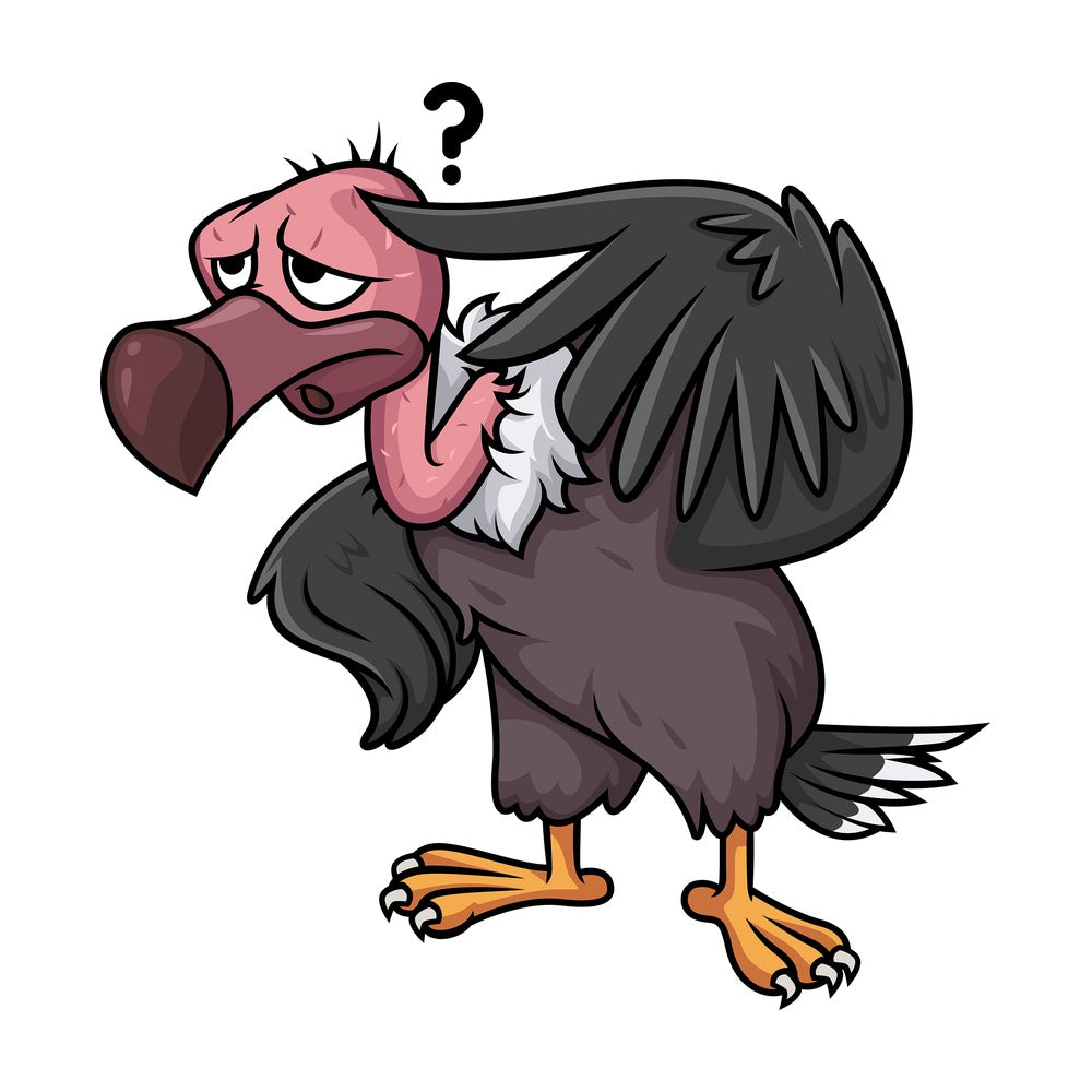 Stupid vulture scratching its head. PNG - JPG and vector EPS (infinitely scalable).