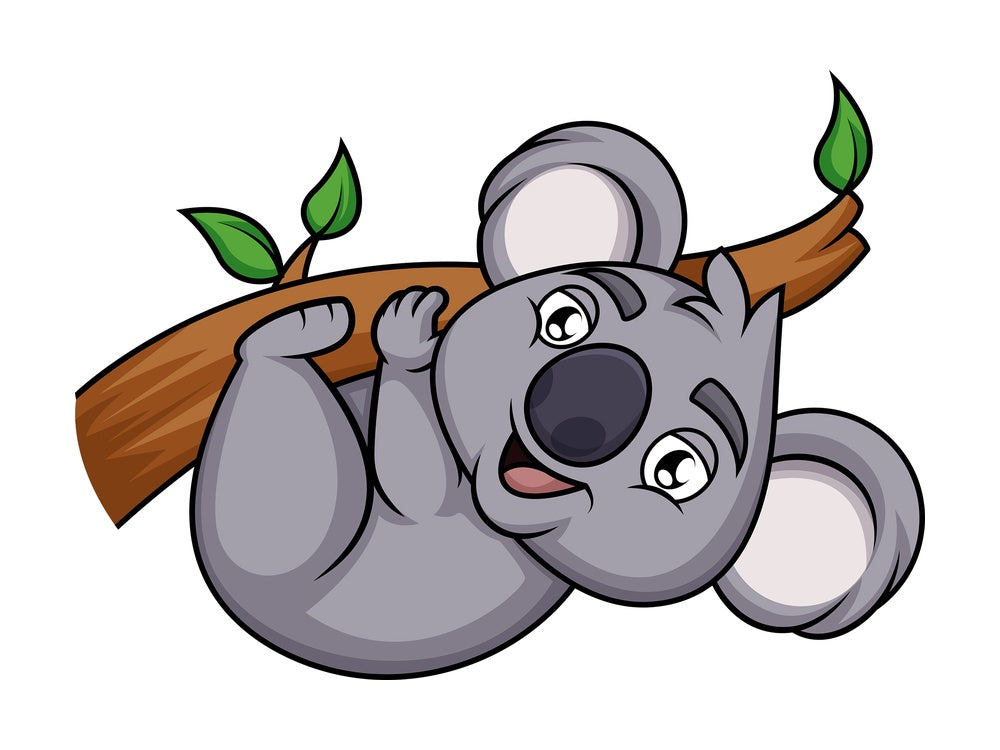 Koala hanging from tree branch. PNG - JPG and vector EPS (infinitely scalable). Image isolated on transparent background.
