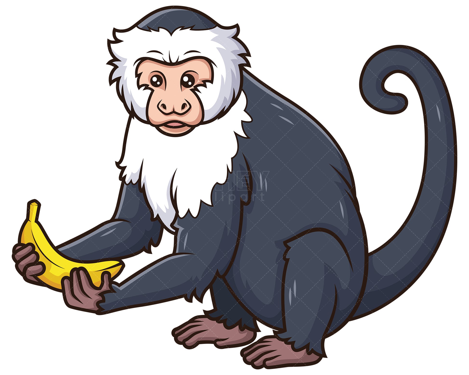 Royalty-free stock vector illustration of a capuchin monkey holding banana.