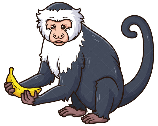 Royalty-free stock vector illustration of a capuchin monkey holding banana.