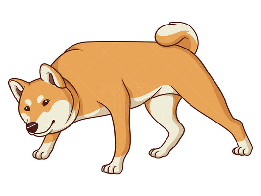 Royalty-free stock vector illustration of a shiba inu sniffing.