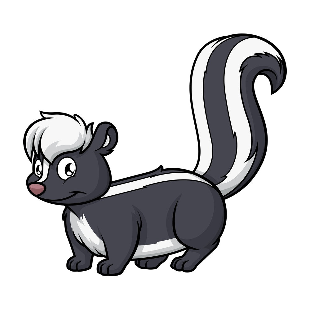 Wild skunk. PNG - JPG and vector EPS (infinitely scalable).